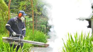 Best Pest Exclusion Services  in Rising Sun, MD